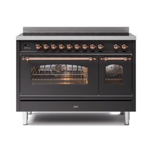 NOSTALGIE 120 CM INDUCTION 2 FOURS - P12N