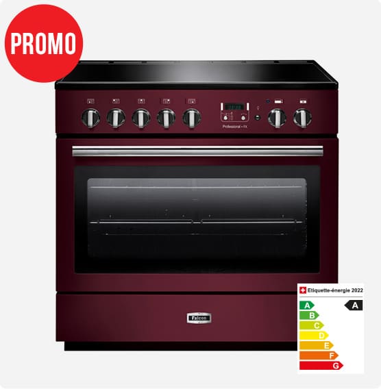 PIANO DE CUISSON 90 CM PROFESSIONAL + FX INDUCTION